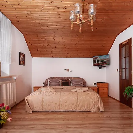 Danninger Guest house Piest'any