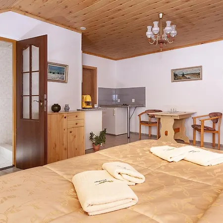 Danninger Guest house Piest'any